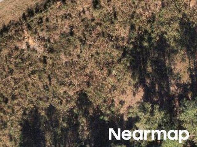 Land for sale in Florida