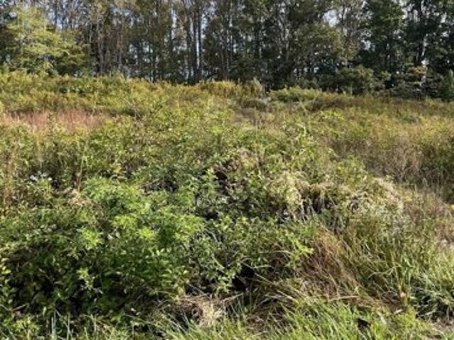 Land for sale in Morganton, North Carolina