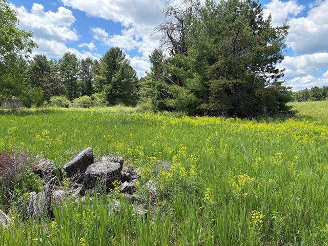 Land for sale in Crivitz, Wisconsin
