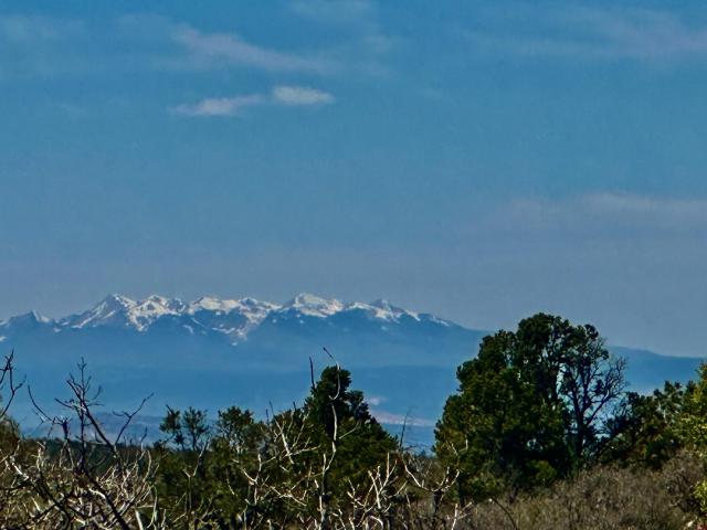 Land for sale in Norwood, Colorado
