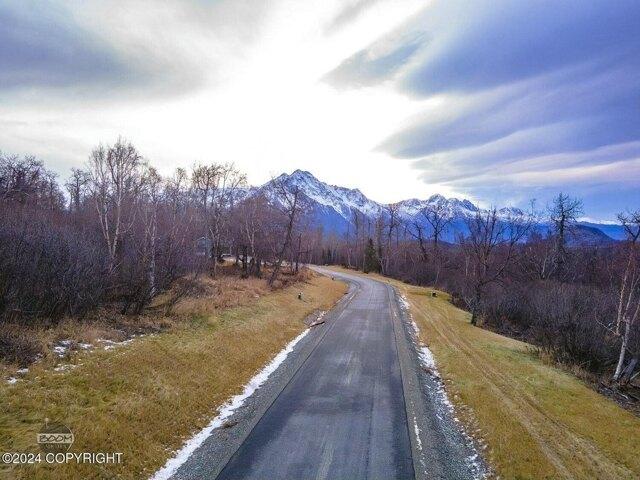 Land for sale in Palmer