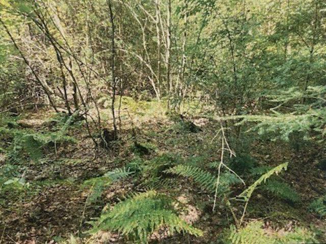 Land for sale in Hatfield, Massachusetts