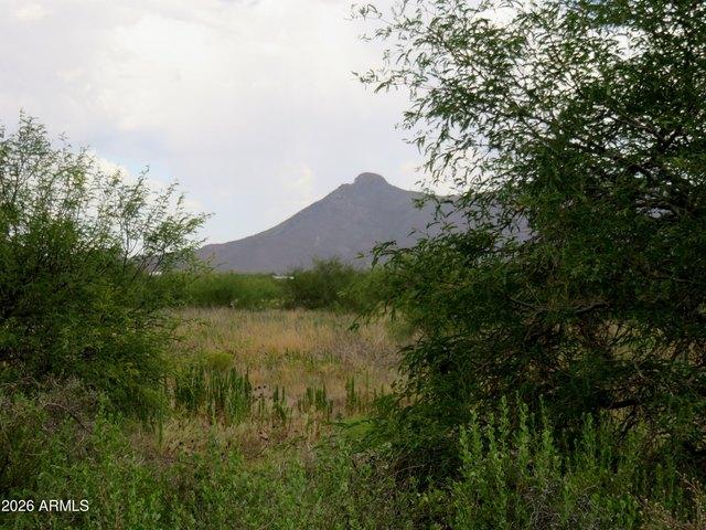 Land for sale in Cochise, Arizona