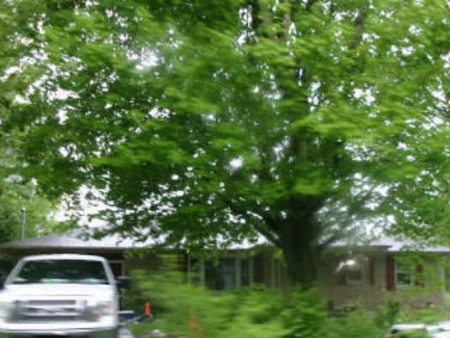 Property for sale in Greensboro, Henry County