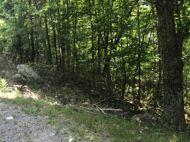 Land for sale in Virginia