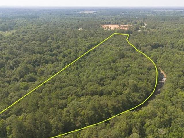 Land for sale in Grady, Georgia