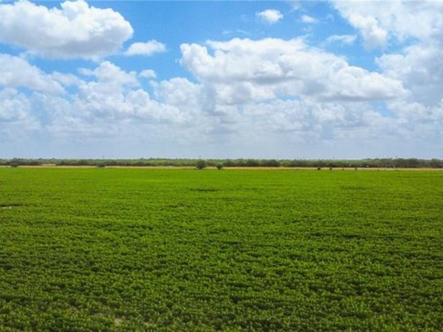 Farm for sale in Alice, Texas