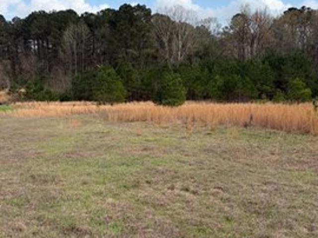 Land for sale in Pelahatchie, Mississippi