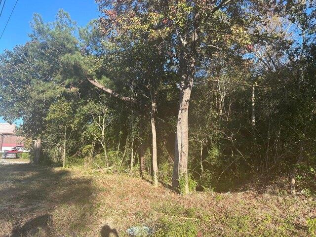 Land for sale in Moncks Corner Land for sale in Moncks Corner