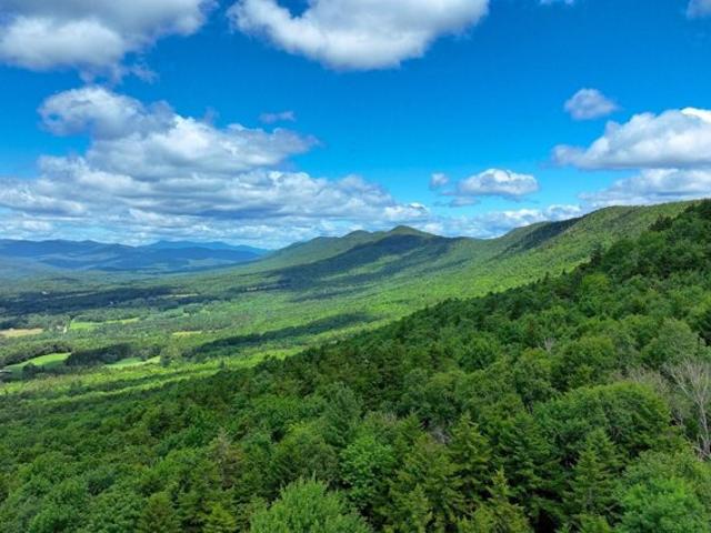 Land for sale in Rochester