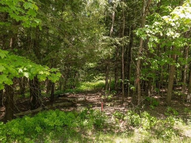 Land for sale in Stowe, Vermont