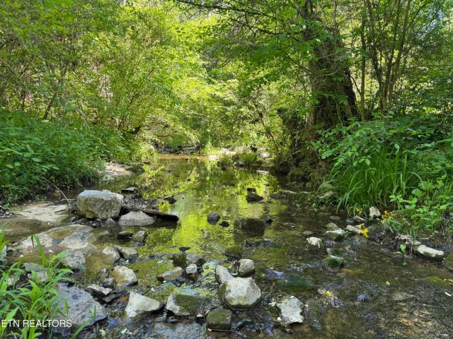 Land for sale in Tennessee
