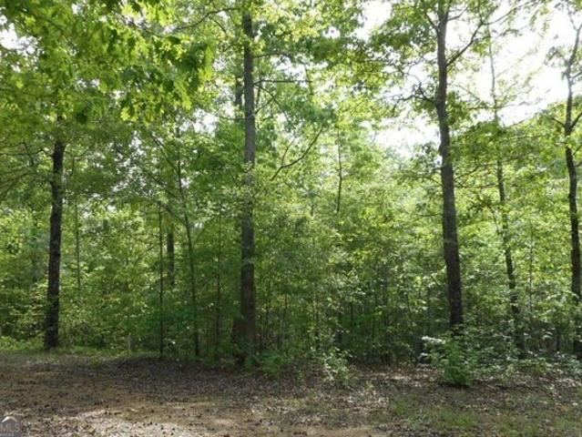 Land for sale in Whitesburg, Georgia