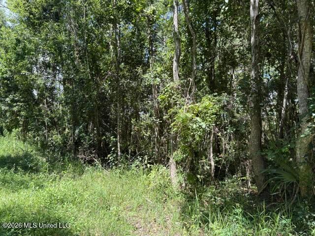 Land for sale in Ocean Springs, Mississippi