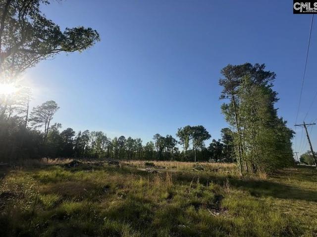 Land for sale in Rembert, Sumter County