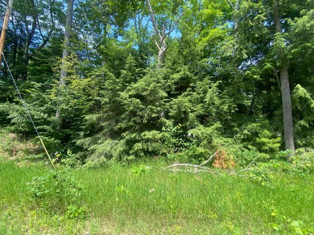 Land for sale in Michigan