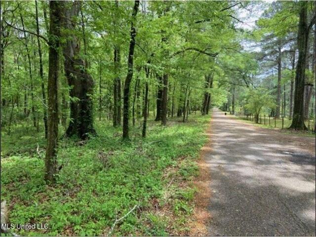 Land for sale in Jackson