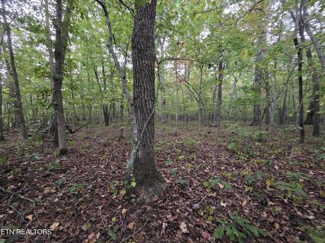Land for sale in Monterey, Middle Tennessee