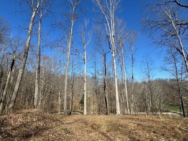 Land for sale in Morgantown, Indiana