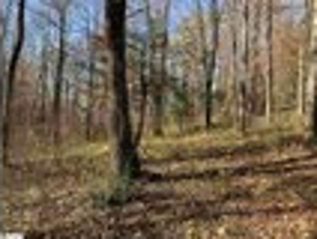 Land for sale in Landrum, South Carolina