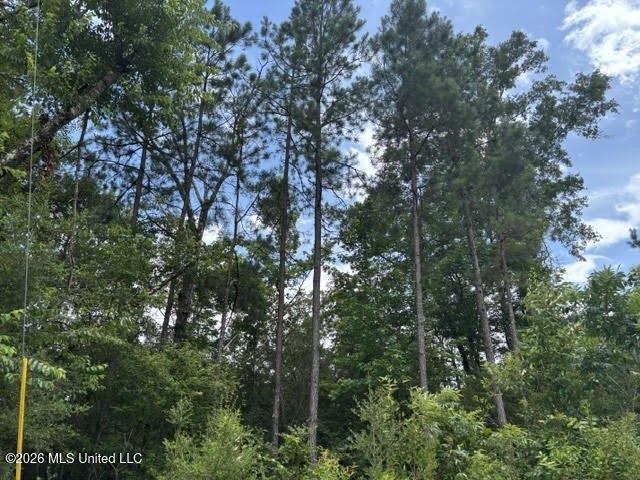 Land for sale in Magnolia, Mississippi
