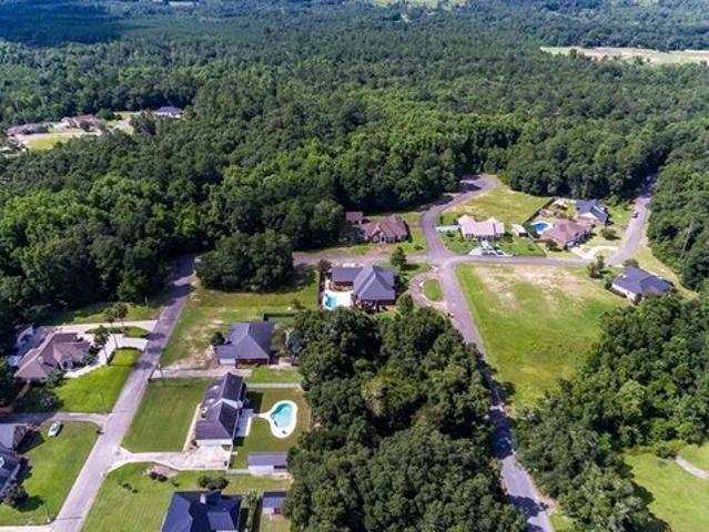 Land for sale in Geneva, Alabama