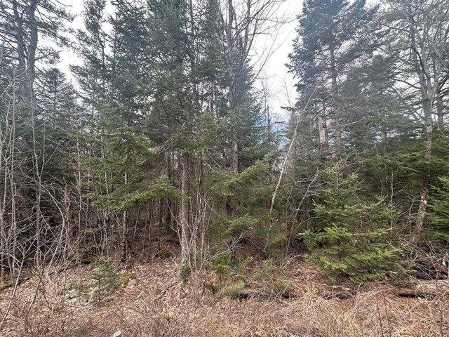 Land for sale in New Hampshire