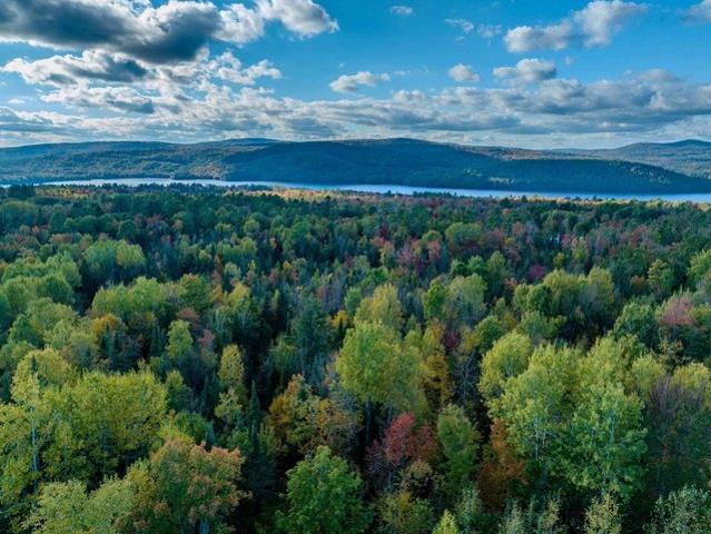 Land for sale in New Hampshire