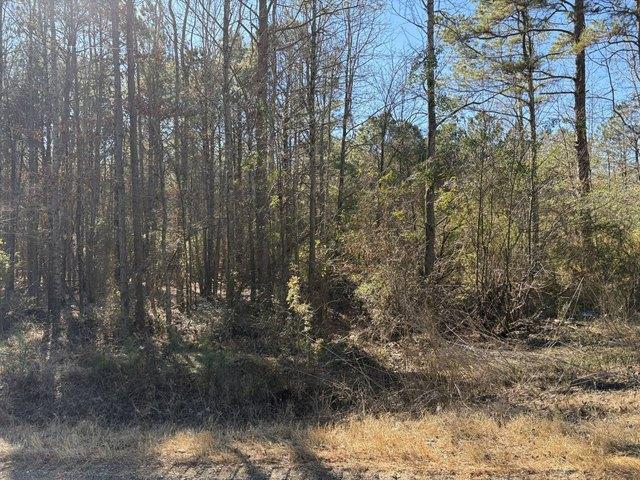 Land for sale in Ark