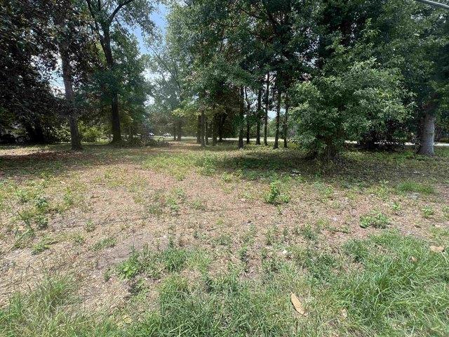 Land for sale in Kingstree, South Carolina