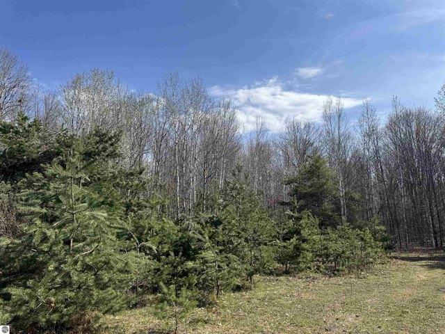Land for sale in Clare, Michigan