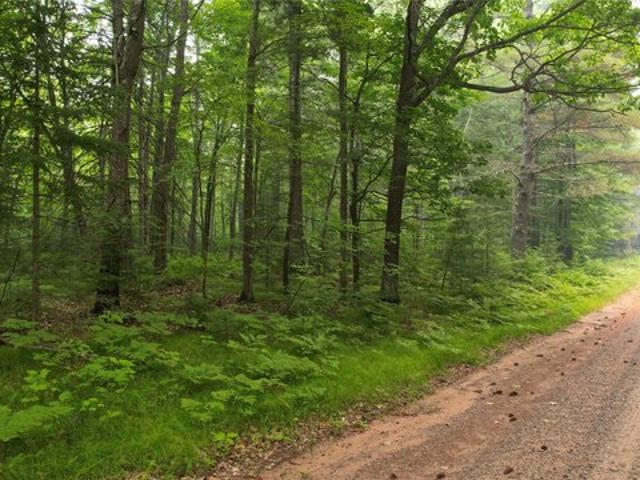 Land for sale in Drummond, Wisconsin
