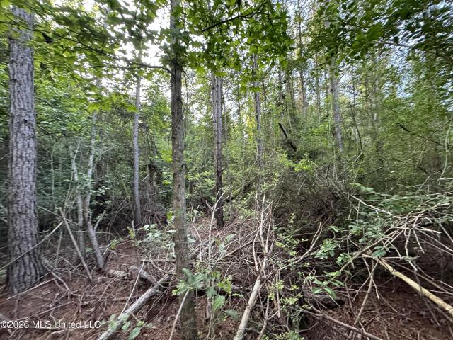Land for sale in Summit, Mississippi