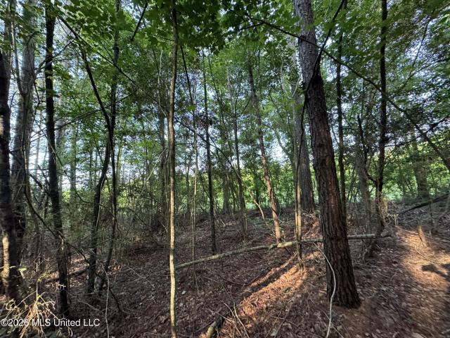 Land for sale in Summit, Mississippi