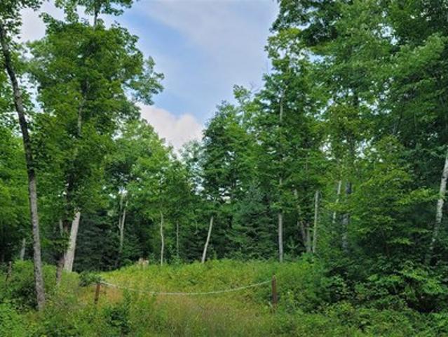 Land for sale in Sawyer, Wisconsin