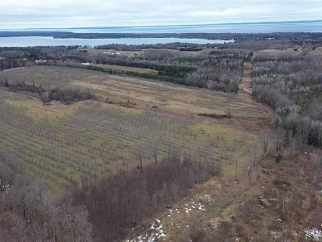 Land for sale in Central Lake, Michigan