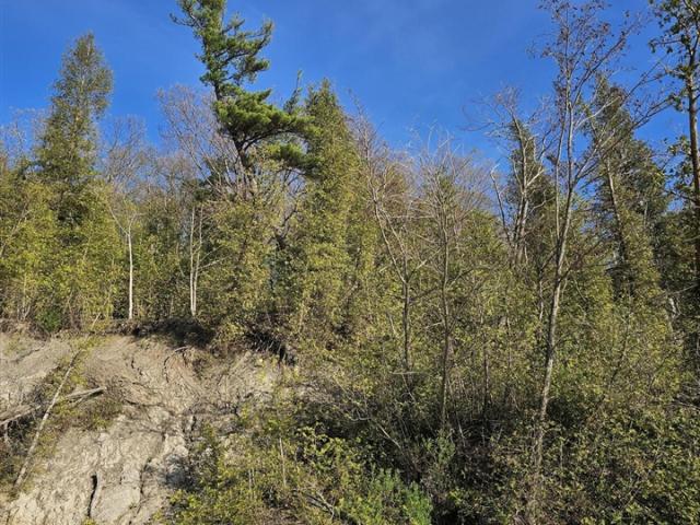 Land for sale in Michigan