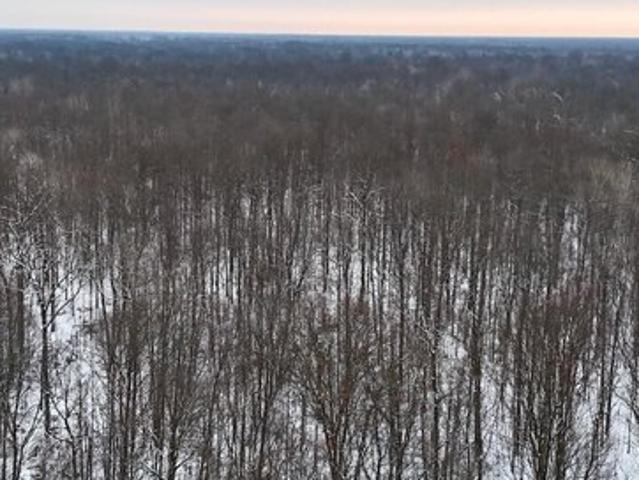 Land for sale in Coleman, Michigan