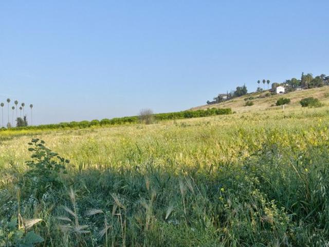 Land for sale in Tulare, California