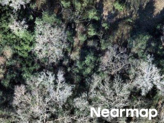 Land for sale in Liberty, Texas