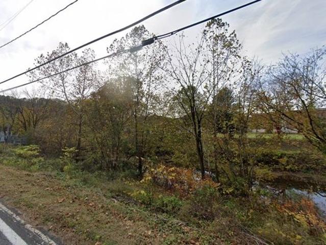 Land for sale in Burnsville, West Virginia