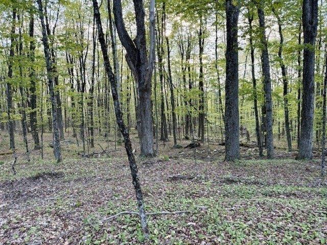 Land for sale in Petersham, Worcester County