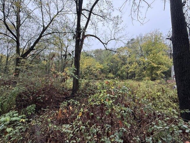 Land for sale in Plainwell, Michigan