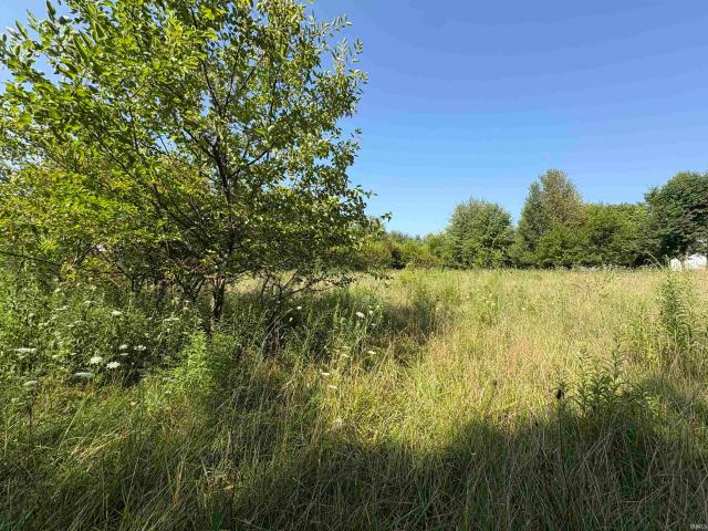 Land for sale in Argos, Indiana