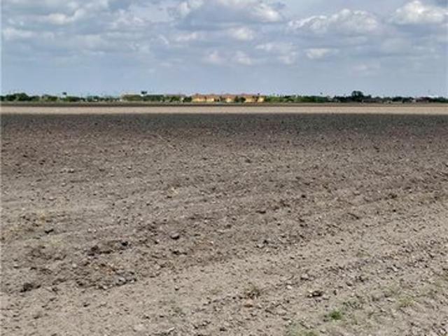 Land for sale in Hidalgo, Texas