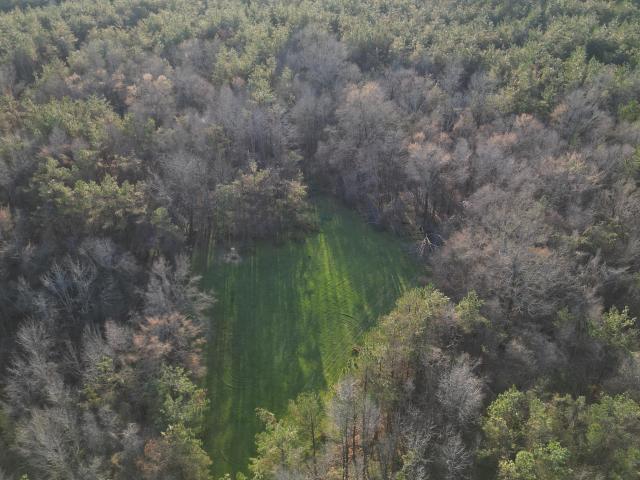Land for sale in Winona, Mississippi