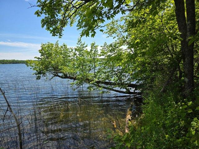 Land for sale in Beltrami, Minnesota