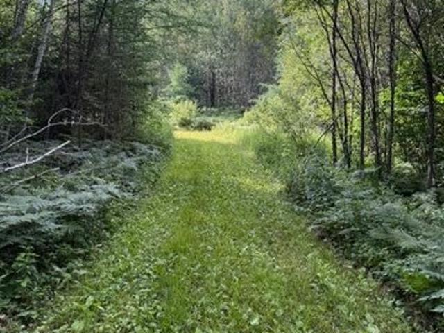Land for sale in Beltrami, Minnesota