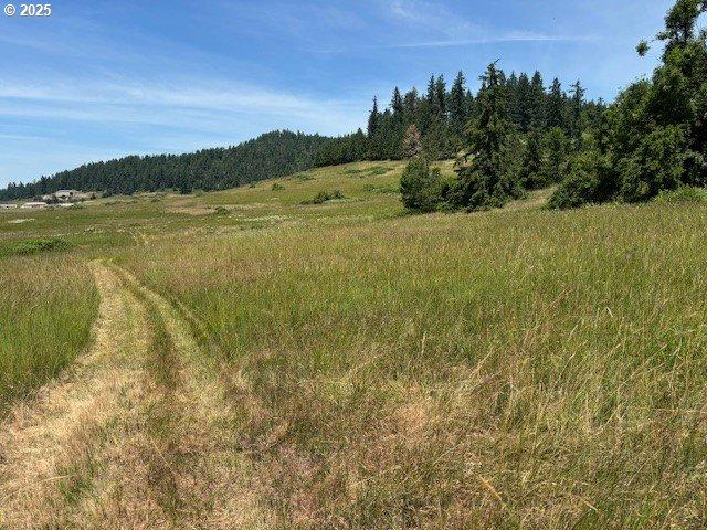 Land for sale in Pleasant Hill
