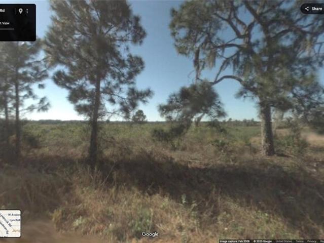 Land for sale in Avon Park Land for sale in Avon Park